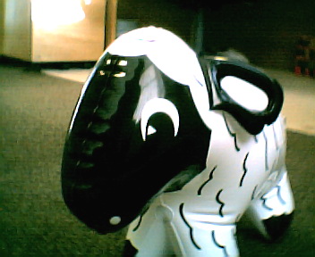 flossie the sheep poet